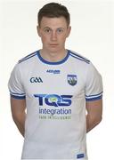 19 May 2018; Austin Gleeson of Waterford during Waterford Hurling Squad Portraits 2018 at Walsh Park in Waterford. Photo by Piaras Ó Mídheach/Sportsfile