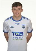 19 May 2018; Darragh Lyons of Waterford during Waterford Hurling Squad Portraits 2018 at Walsh Park in Waterford. Photo by Piaras Ó Mídheach/Sportsfile