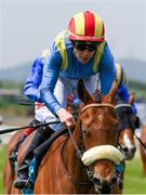 26 May 2018; Patuano, with Leigh Roche  up, on their way to winning The FBD Hotels and Resorts Handicap during the Curragh Races Irish 2000 Guineas Day at the Curragh in Kildare. Photo by Ray McManus/Sportsfile