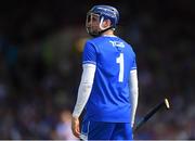 3 June 2018; Waterford goalkeeper Stephen O'Keeffe during the Munster GAA Senior Hurling Championship Round 3 match between Waterford and Tipperary at the Gaelic Grounds in Limerick. Photo by Piaras Ó Mídheach/Sportsfile