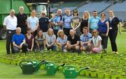 10 June 2018; Volunteers from the GAA Museum and the Croke Park Community team took up sections of the Croke Park pitch following the Leinster GAA Football Championship Semi-Finals on Sunday 10th June. These unique potted pieces of Croke Park are now on sale for €10 in the GAA Museum gift shop for a limited period. All profits from the sale of these pots will go to the Official GAA Charities for 2018 – Mayo Roscommon Hospice Foundation, Cavan Monaghan Palliative Care, Kerry Hospice Foundation, Jack and Jill Children’s Foundation and Concern. Croke Park, Dublin. Photo by Piaras Ó Mídheach/Sportsfile