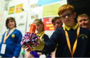 18 June 2018; Students from Gaelscoil Nás Na Ríogh, Naas, Co Kildare, with their product 'Poms' at the JEP National Showcase Day in the RDS Simmonscourt, Ballsbridge, Dublin Photo by David Fitzgerald/Sportsfile