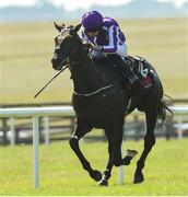 30 June 2018; Van Beethoven, with Ryan Moore up, on their way to winning the GAIN Railway Stakes during day 2 of the Dubai Duty Free Irish Derby Festival at the Curragh Racecourse in Kildare. Photo by Matt Browne/Sportsfile