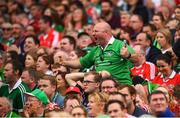 29 July 2018; A Limerick supporter reacts during the GAA Hurling All-Ireland Senior Championship semi-final match between Cork and Limerick at Croke Park in Dublin. Photo by Stephen McCarthy/Sportsfile