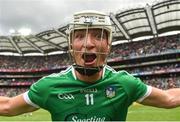 29 July 2018; Kyle Hayes of Limerick celebrates after the GAA Hurling All-Ireland Senior Championship semi-final match between Cork and Limerick at Croke Park in Dublin. Photo by Piaras Ó Mídheach/Sportsfile