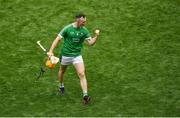 29 July 2018; Richie English of Limerick celebrates at the final whistle of the GAA Hurling All-Ireland Senior Championship semi-final match between Cork and Limerick at Croke Park in Dublin. Photo by Brendan Moran/Sportsfile