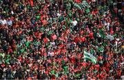 29 July 2018; Cork and Limerick supporters during the GAA Hurling All-Ireland Senior Championship semi-final match between Cork and Limerick at Croke Park in Dublin. Photo by Brendan Moran/Sportsfile