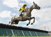 31 July 2018; Pakora, with Paul Townend up, jumps the fifth on their way to winning the Colm Quinn BMW Novice Hurdle during the Galway Races Summer Festival 2018, in Ballybrit, Galway. Photo by Seb Daly/Sportsfile