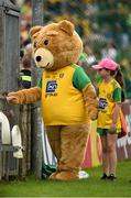 5 August 2018; The Donegal mascot during the GAA Football All-Ireland Senior Championship Quarter-Final Group 2 Phase 3 match between Tyrone and Donegal at MacCumhaill Park in Ballybofey, Co Donegal. Photo by Oliver McVeigh/Sportsfile
