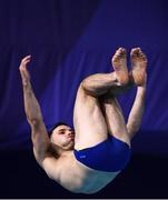 7 August 2018; Oliver Dingley of Ireland competing in the Men's 1m Springboard Preliminary heat during day six of the 2018 European Championships at the Royal Commonwealth Pool in Edinburgh, Scotland. Photo by David Fitzgerald/Sportsfile