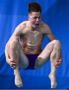 7 August 2018; Justin Dylan Vork of Netherlands competing in the Men's 1m Springboard Preliminary heat during day six of the 2018 European Championships at the Royal Commonwealth Pool in Edinburgh, Scotland. Photo by David Fitzgerald/Sportsfile
