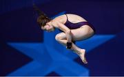 8 August 2018; Tanya Watson of Ireland competing in the Women's 10m Platform Final during day seven of the 2018 European Championships at the Royal Commonwealth Pool in Edinburgh, Scotland. Photo by David Fitzgerald/Sportsfile