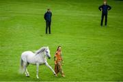 8 August 2018; Frédéric Pignon and his dancing horses during the StenaLine Dublin Horse Show at the RDS Arena in Dublin. Photo by Eóin Noonan/Sportsfile