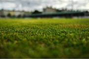 10 August 2018; A detailed view of grass at the Carlisle Grounds before the Irish Daily Mail FAI Cup First Round match between Bray Wanderers and Finn Harps at the Carlisle Grounds in Bray, Wicklow. Photo by Piaras Ó Mídheach/Sportsfile
