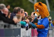 17 August 2018; Leinster mascot Leo the Lion prior to the Bank of Ireland Pre-season Friendly match between Leinster and Newcastle Falcons at Energia Park in Dublin. Photo by Brendan Moran/Sportsfile