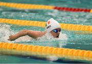 18 August 2018; Nicole Turner of Ireland on her way to finishing in second place in the final of the Women's 50m Butterfly S6 event during day six of the World Para Swimming Allianz European Championships at the Sport Ireland National Aquatic Centre in Blanchardstown, Dublin. Photo by David Fitzgerald/Sportsfile