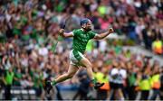 19 August 2018; Richie McCarthy of Limerick celebrates at the final whistle during the GAA Hurling All-Ireland Senior Championship Final match between Galway and Limerick at Croke Park in Dublin.  Photo by Eóin Noonan/Sportsfile