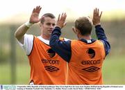 2 September 2003; Republic of Ireland goalkeeper Shay Given high-fives his team-mate Stephen McPhail during Republic of Ireland soccer training at Malahide Football Club, Malahide, Co. Dublin. Picture credit; David Maher / SPORTSFILE