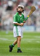 19 August 2018; Cormac McErlean, Gaelscoil Aodha Rua, Dún Geanainn, Co Tyrone, representing Limerick, during the INTO Cumann na mBunscol GAA Respect Exhibition Go Games at the GAA Hurling All-Ireland Senior Championship Final match between Galway and Limerick at Croke Park in Dublin. Photo by Seb Daly/Sportsfile