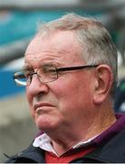 19 August 2018; Former Clare hurling manager Mike McNamara in attendance at the GAA Hurling All-Ireland Senior Championship Final match between Galway and Limerick at Croke Park in Dublin.  Photo by Piaras Ó Mídheach/Sportsfile
