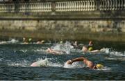 1 September 2018; Des Brown of Templeogue during the 99th Dublin City Liffey Swim in Dublin. Photo by Harry Murphy/Sportsfile