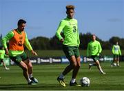 3 September 2018; Callum Robinson, right, and Enda Stevens during Republic of Ireland squad training at the FAI National Training Centre in Abbotstown, Dublin. Photo by Stephen McCarthy/Sportsfile