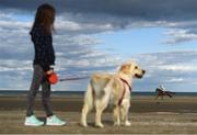 6 September 2018; Julia Kozluk, age 6, from Laytown, Co Meath alongside her Golden Labrador Ruby watches the Hibernia Steel (Q.R.) Race during the Laytown Strand Races at Laytown in Meath. Photo by David Fitzgerald/Sportsfile