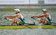 12 September 2018; Paul O'Donovan, left, and Gary O'Donovan of Ireland on their way to winning their Lightweight Men's Double Sculls quater final race on day four of the World Rowing Championships in Plovdiv, Bulgaria. Photo by Seb Daly/Sportsfile