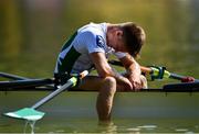 14 September 2018; Jacob McCarthy of Ireland reacts following his team's fifth place finish during their Lightweight Men's Quadruple Sculls final on day six of the World Rowing Championships in Plovdiv, Bulgaria. Photo by Seb Daly/Sportsfile