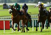 16 September 2018; Eziyra, with Declan McDonogh up, left, on their way to winning the The Moyglare `Jewels` Blandford Stakes, from third place I'm So Fancy, right, with Shane Foley up, and fourth place Curly, centre, with Seamie Heffernan during the Curragh Races on St Ledger Day at the Curragh Racecourse in Curragh, Kildare. Photo by Matt Browne/Sportsfile
