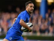 15 September 2018; Jamison Gibson-Park of Leinster during the Guinness PRO14 Round 3 match between Leinster and Dragons at the RDS Arena in Dublin. Photo by Brendan Moran/Sportsfile