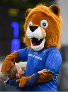 15 September 2018; Leo the lion during the Guinness PRO14 Round 3 match between Leinster and Dragons at the RDS Arena in Dublin. Photo by David Fitzgerald/Sportsfile