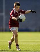 23 September 2018; Matthew Potter of Shamrock Gaels, Co Sligo, during the Littlewoods Ireland Connacht Provincial Days Go Games in Croke Park. This year over 6,000 boys and girls aged between six and eleven represented their clubs in a series of mini blitzes and – just like their heroes – got to play in Croke Park. For exclusive content and behind the scenes action follow Littlewoods Ireland on Facebook, Instagram, Twitter and https://blog.littlewoodsireland.ie/ Photo by Piaras Ó Mídheach/Sportsfile