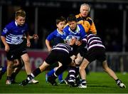 22 September 2018; Action from the Bank of Ireland Half-Time Minis match between Terenure RFC and Wexford Wanderers at half-time of the Guinness PRO14 Round 4 match between Leinster and Edinburgh at the RDS Arena in Dublin. Photo by David Fitzgerald/Sportsfile