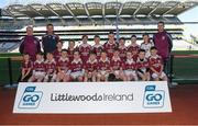 23 September 2018; The Shamrock Gaels, Co Sligo, team at the Littlewoods Ireland Connacht Provincial Days Go Games in Croke Park. This year over 6,000 boys and girls aged between six and eleven represented their clubs in a series of mini blitzes and – just like their heroes – got to play in Croke Park. For exclusive content and behind the scenes action follow Littlewoods Ireland on Facebook, Instagram, Twitter and https://blog.littlewoodsireland.ie/ Photo by Piaras Ó Mídheach/Sportsfile