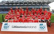 23 September 2018; The Ballintubber, Co Mayo, team at the Littlewoods Ireland Connacht Provincial Days Go Games in Croke Park. This year over 6,000 boys and girls aged between six and eleven represented their clubs in a series of mini blitzes and – just like their heroes – got to play in Croke Park. For exclusive content and behind the scenes action follow Littlewoods Ireland on Facebook, Instagram, Twitter and https://blog.littlewoodsireland.ie/ Photo by Piaras Ó Mídheach/Sportsfile