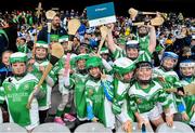 30 September 2018; Attendees from O'Dwyers GAA, Co. Dublin, ahead of the Official Guinness World Record Attempt for World’s Largest Hurling Lesson at Croke Park in Dublin. The attempt, which saw 1,772 participants take to the field was made to celebrate 20 Years of the GAA Museum.  Photo by Sam Barnes/Sportsfile