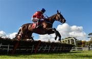 6 October 2018; Chief Justice, with Davy Russell up, jumps the last on their way to winning the Golf Memberships 2019 3 year old Hurdle during Champion Chase Day at Gowran Park Races in Gowran, Kilkenny. Photo by Matt Browne/Sportsfile
