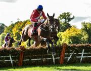 6 October 2018; Chief Justice, with Davy Russell up, jumps the last on their way to winning the Golf Memberships 2019 3 year old Hurdle from second place It's Paddys Day with Philip Enright up, during Champion Chase Day at Gowran Park Races in Gowran, Kilkenny. Photo by Matt Browne/Sportsfile