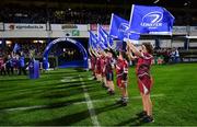 12 October 2018; Flagbearers from Portarlington RFC at the Heineken Champions Cup Pool 1 Round 1 match between Leinster and Wasps at the RDS Arena in Dublin. Photo by Ramsey Cardy/Sportsfile