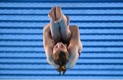 13 October 2018; Tanya Watson of Team Ireland, from Derry, in action during the 10m diving , final, event at the Aquatic Centre, Youth Olympic Park, on Day 7 of the Youth Olympic Games in Buenos Aires, Argentina. Photo by Eóin Noonan/Sportsfile