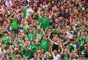 19 August 2018; Limerick supporters in the Hogan Stand react to a score during the GAA Hurling All-Ireland Senior Championship Final match between Galway and Limerick at Croke Park in Dublin. Photo by Ray McManus/Sportsfile