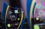 20 October 2018; A general view of the 'Hero Award' during the GAA National Healthy Club Conference at Croke Park Stadium, in Dublin. Photo by David Fitzgerald/Sportsfile