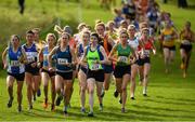 21 October 2018; Runners compete during the Autumn Open International Cross Country Festival at the National Sports Campus in Abbottstown, Dublin. Photo by Harry Murphy/Sportsfile