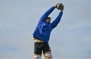 23 October 2018; Max Deegan catches a ball in a lineout during Leinster Rugby squad training at UCD Belfield in Dublin. Photo by Brendan Moran/Sportsfile