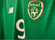 29 October 2018; A detailed view of the Republic of Ireland crest prior to the Republic of Ireland U15 and Republic of Ireland U16 match at FAI National Training Centre in Abbotstown, Dublin. Photo by Seb Daly/Sportsfile