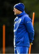 30 October 2018; Backs coach Felipe Contepomi during Leinster Rugby squad training at UCD in Dublin. Photo by Ramsey Cardy/Sportsfile