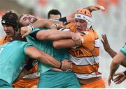 4 November 2018; JP du Preez of the Cheetahs in action against James Cronin of Munster during the Guinness PRO14 Round 8 match between Cheetahs and Munster at Toyota Stadium in Bloemfontein, South Africa. Photo by Johan Pretorius/Sportsfile