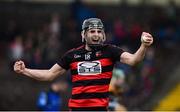 4 November 2018; JJ Hutchinson of Ballygunner celebrates after the AIB Munster GAA Hurling Senior Club Championship semi-final match between Ballyea and Ballygunner at Walsh Park in Waterford. Photo by Matt Browne/Sportsfile