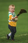 Two-year-old Offaly supporter Kyle Broderick from Bracknagh sharpens his hurling skills at half-time  in Nowlan Park.    This image may be reproduced free of charge when used in conjunction with a review of the book &quot;A Season of Sundays 2018&quot;. All other usage © SPORTSFILE